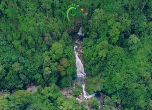 Khau Lan Waterfall – A Hidden Gem Amidst the Green Forests of Hà Giang