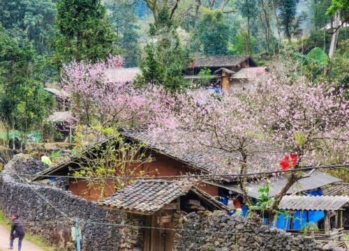 Revealing 7 Beautiful Villages in Ha Giang You Must Visit