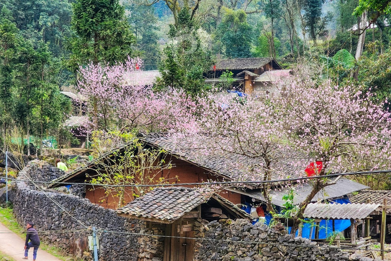 Revealing 7 Beautiful Villages in Ha Giang You Must Visit