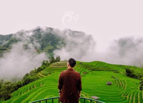 3D2N Hoang Su Phi - Suoi Thau Grasslands - Tien Waterfall  Tour