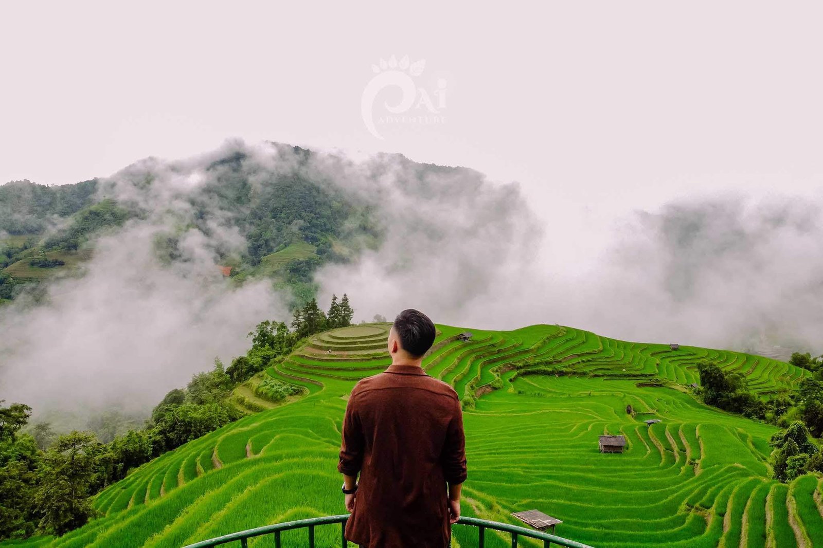 3D2N Hoang Su Phi - Suoi Thau Grasslands - Tien Waterfall  Tour