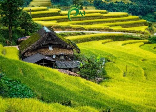 Xa Phin Village – a fairy tale village in the middle of Tay Con Linh forest.