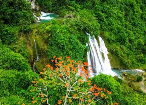 Discover a new and extremely chill waterfall in Ha Giang