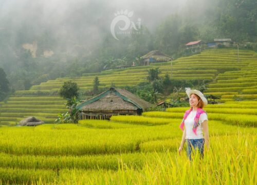 2D1N Tay Con Linh Village Trekking Tour