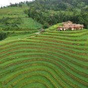 Green rice terraces and a mountain village in Hoang Su Phi