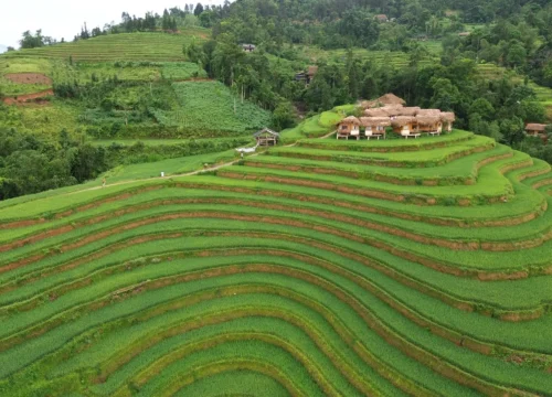 Ha Giang Green Rice Season 2026: When & Where to Go
