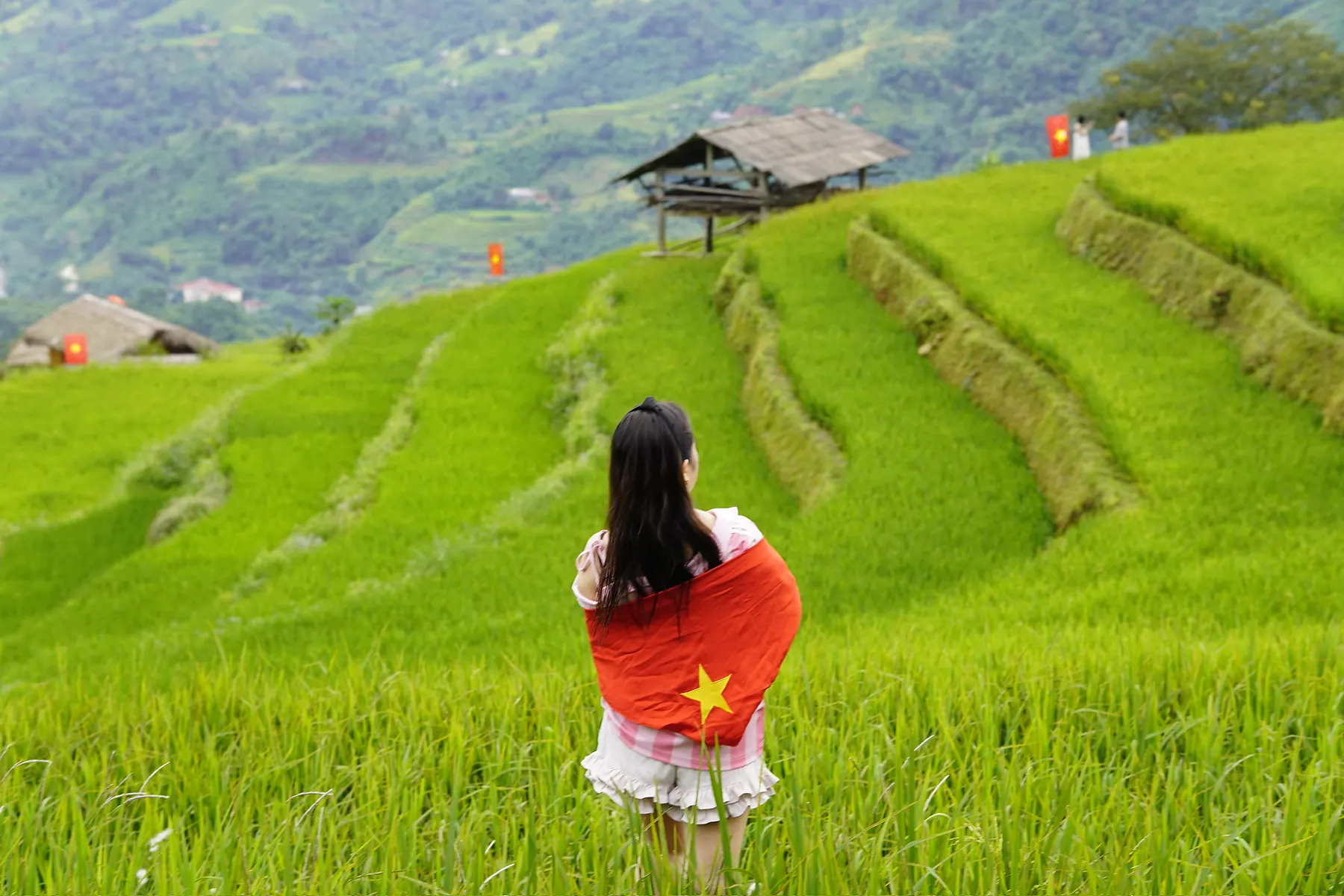 Traveller looking across green rice terraces in Hoang Su Phi