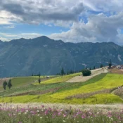 Highland fields on the Hoang Su Phi, Suoi Thau and Bac Ha route