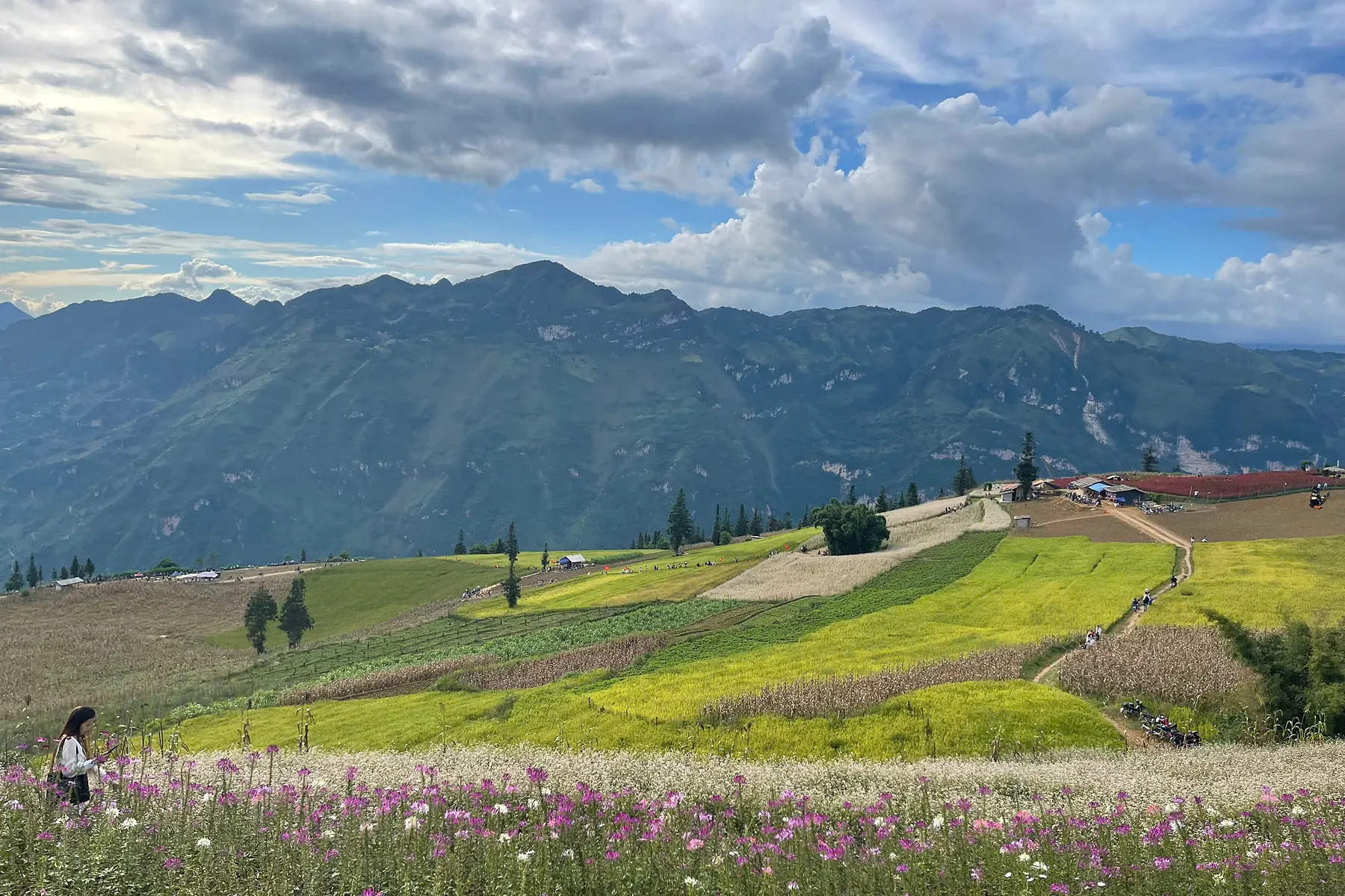Highland fields on the Hoang Su Phi, Suoi Thau and Bac Ha route